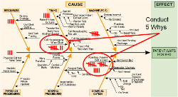Example of a Fishbone Diagram